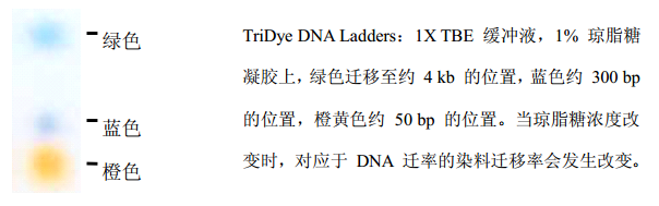 5c2dc7fd94e35.png
