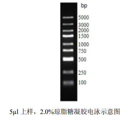 blob.png